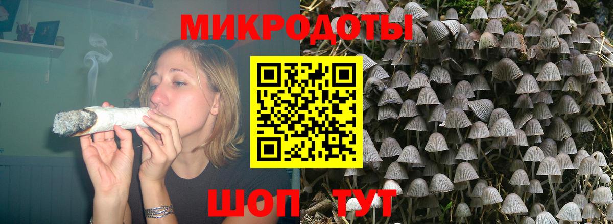 Галлюциногенные грибы Cubensis Новокубанск