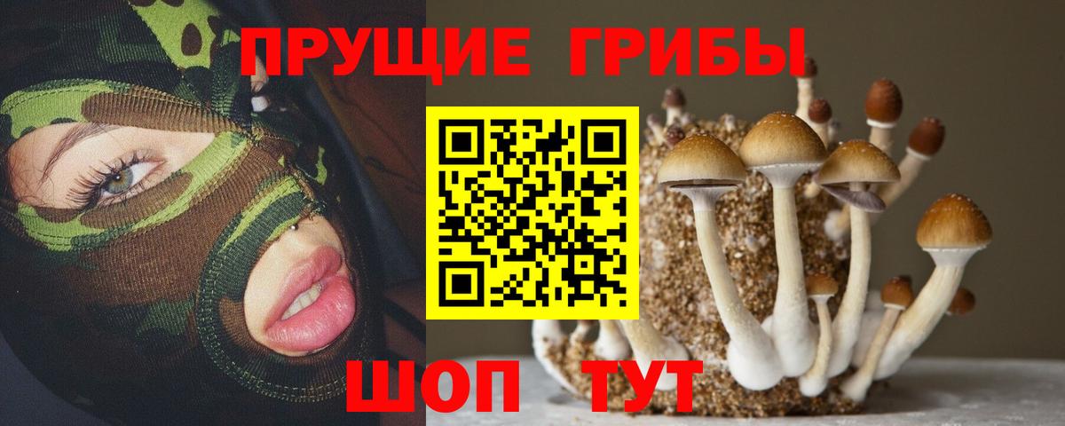 купить   Псилоцибиновые грибы Magic Shrooms  Вход с VPN  Новокубанск 